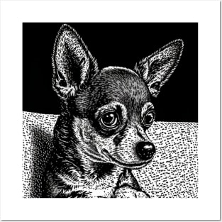 Chihuahua in Pen and Ink Posters and Art